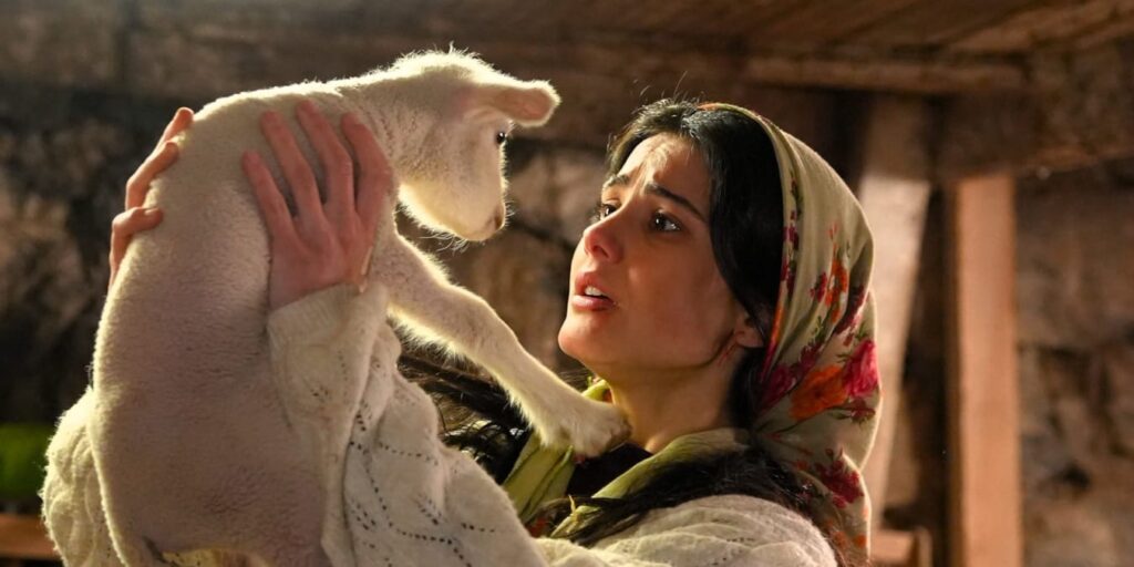 Fenerbahçe, Avrupa Ligi’nde Reyting Zirvesinde!